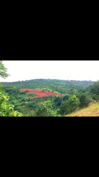 Đất nền 6 sào Đăk Nia - Gia Nghĩa - Đắk Nông giá 1.6 tỷ - Đường nhựa tận nơi!