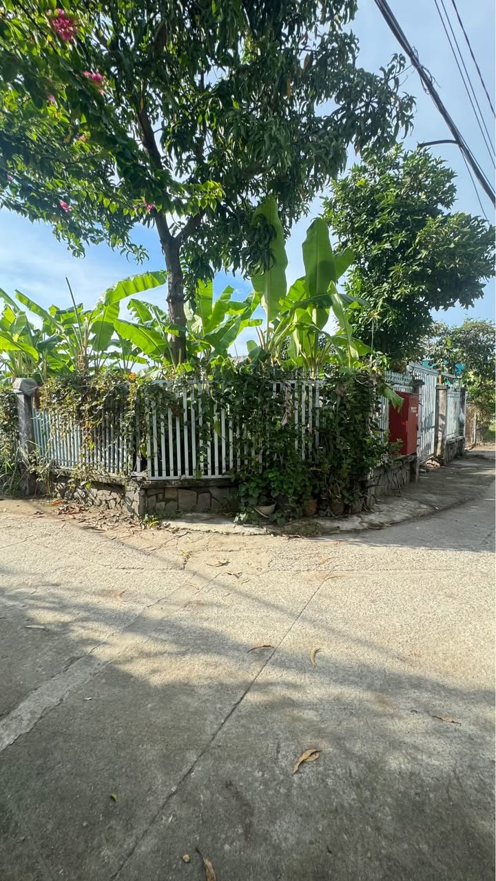 Đất mặt tiền Đinh Đức Thiện 400m² giá 2.95 tỷ - Cơ hội đầu tư sinh lời!