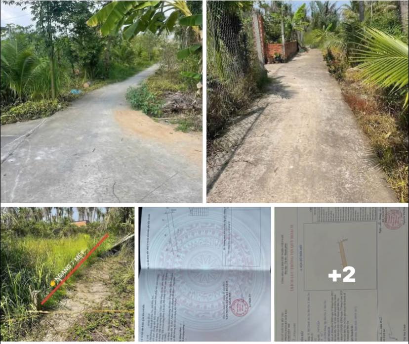 Đất nền 450m² Phú Hưng Bến Tre giá 500 triệu - Sổ đỏ chính chủ