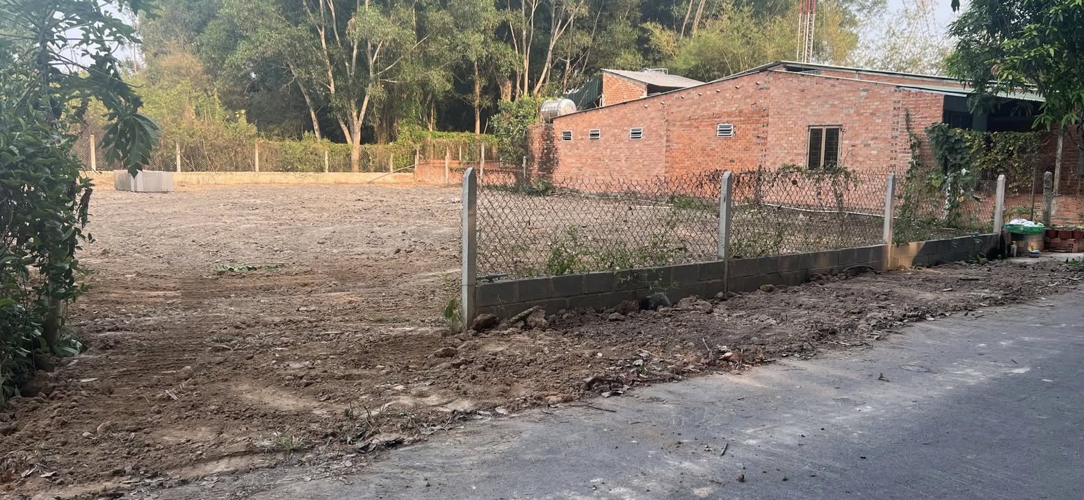 Đất nền 300m² tại Trảng Bàng, Tây Ninh - Bán gấp chỉ 680 triệu!