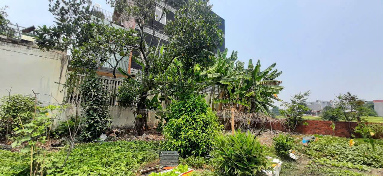 Đất thổ cư Hóc Môn 133.4m² giá 6 tỷ - Sổ đỏ chính chủ, đầu tư sinh lời!