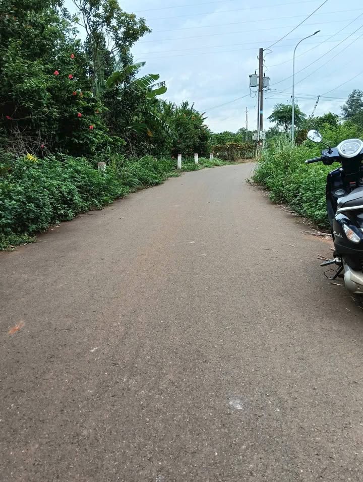 Đất nền Bàu Chinh Châu Đức 1440m² giá 1.35 tỷ - Mặt tiền rộng, giao thông thuận lợi!