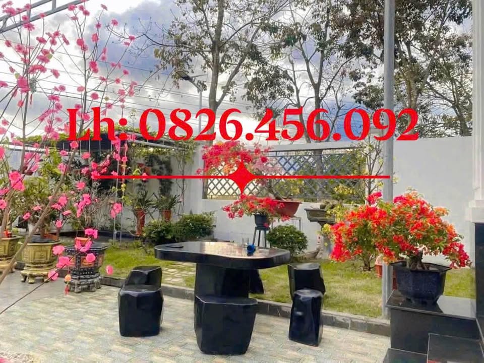 Nhà vườn Tiến Thành, Đồng Xoài 400m² - Giá tốt thỏa thuận ngay!