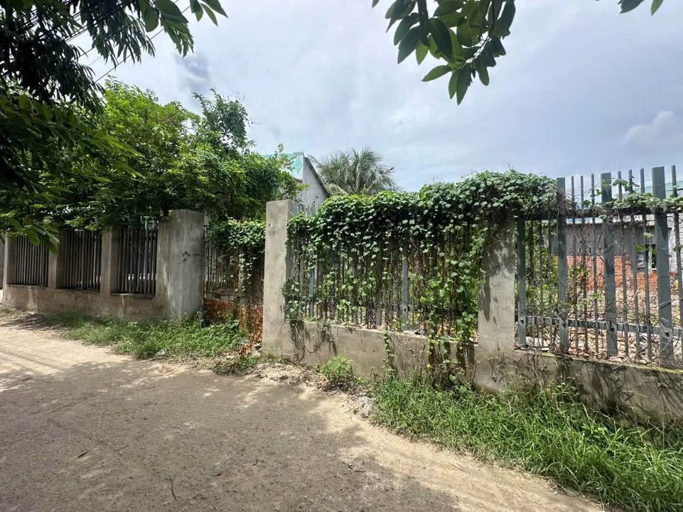 Đất thổ cư 224m² xã Phước Sơn, Ninh Phước chỉ 690 triệu - Đầu tư sinh lời tốt!