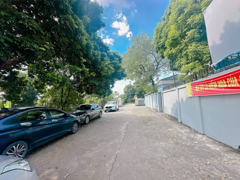 Đất trung tâm TP Việt Trì 96m² giá 3 tỷ - Cơ hội đầu tư tuyệt vời!