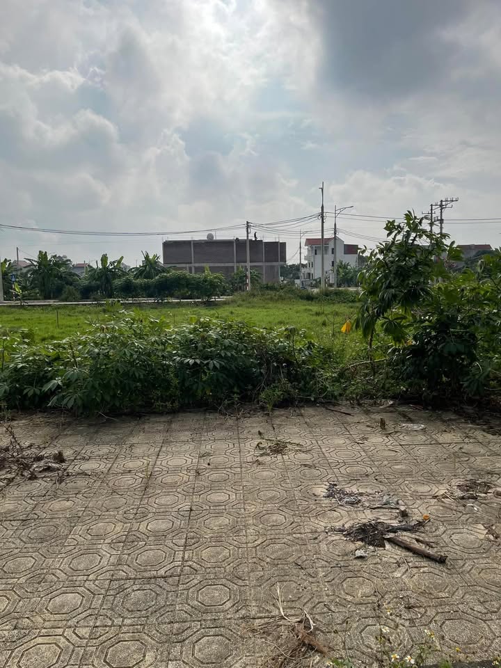 Đất nền đường Lê Hồng Phong, 85m² giá 2 tỷ - Cơ hội đầu tư hấp dẫn!