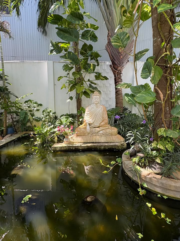 Nhà phố Cẩm Châu, Hội An 268m² giá 16 tỷ - Đầu tư sinh lời ngay!