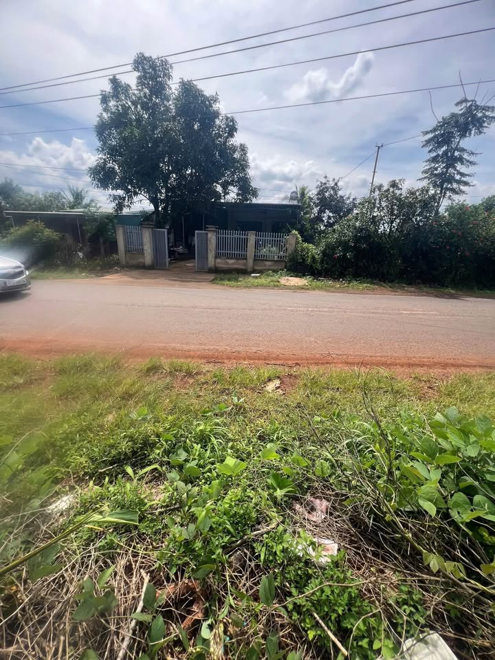 Đất nền Ia Grai 172m² giá chỉ 350 triệu - Cơ hội đầu tư tuyệt vời!