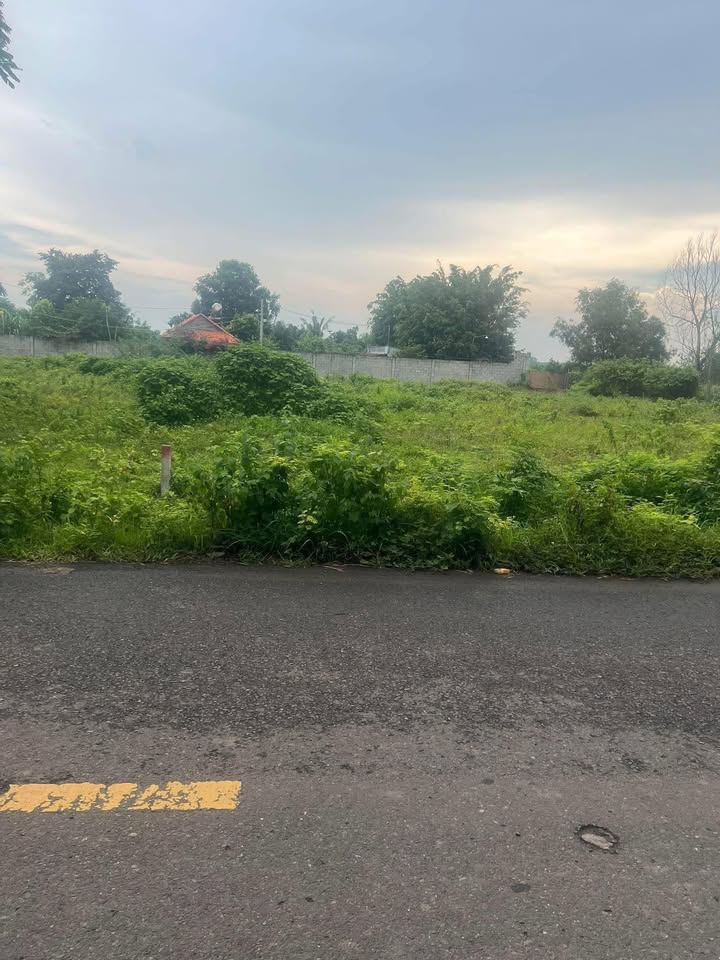 Đất nền 25m² đường Trịnh Hoài Đức, Xuân Hiệp, 1.375 tỷ - Cơ hội đầu tư tuyệt vời!