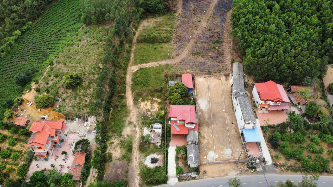 Đất nghỉ dưỡng Ngọc Thanh Vĩnh Phúc 1000m² giá chỉ 6 triệu/m² - Cơ hội đầu tư sinh lời!