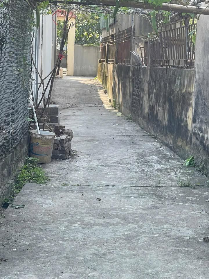 Đất nền Quất Động 59m² giá 1.48 tỷ - Hướng Dương, gần QL1A!