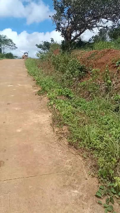 Đất nền Bảo Lâm 10.800m² giá 600 triệu - Đầu tư sinh lời ngay!