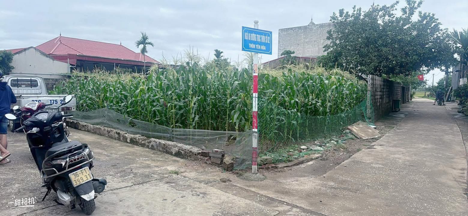 Đất nền Hưng Lộc 119m² giá thỏa thuận - Đầu tư sinh lời ngay!