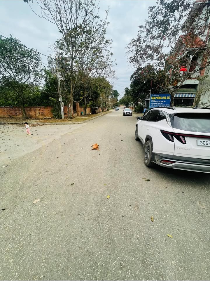 Lô đất TĐC Phú Cát, Thạch Thất 120m² giá 4.8 tỷ - Đầu tư sinh lời ngay!