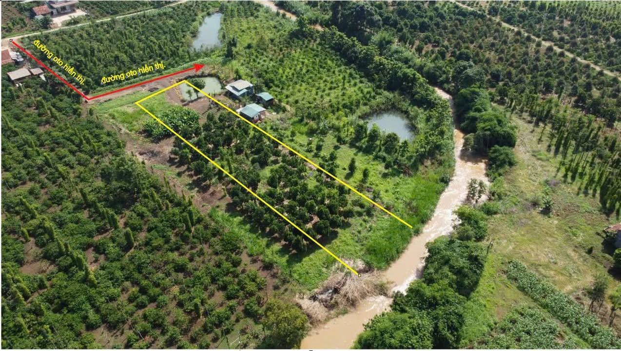 Đất nền 1400m² tại Nam Xuân, Krông Nô - Gần suối, giá chỉ 500 triệu