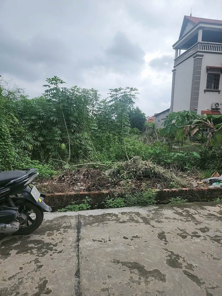 Đất thổ cư Hiền Ninh, Sóc Sơn 119.5m² - Đầu tư lý tưởng, giá thỏa thuận!