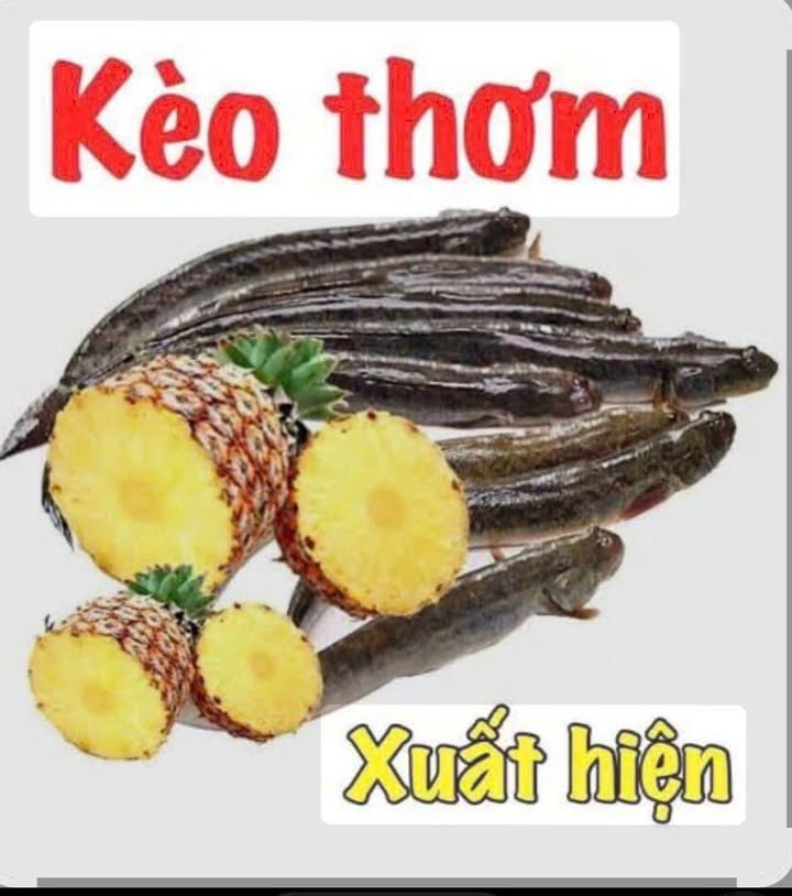 Đất thổ cư Bình Mỹ, Củ Chi 80m² giá 1.35 tỷ - Cơ hội đầu tư tuyệt vời!