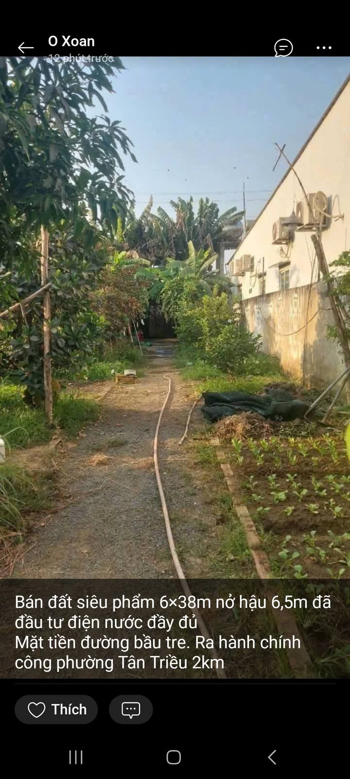 Đất nền Tân Triều Biên Hòa 228m² giá 2.05 tỷ - Mặt tiền đường Bầu Tre