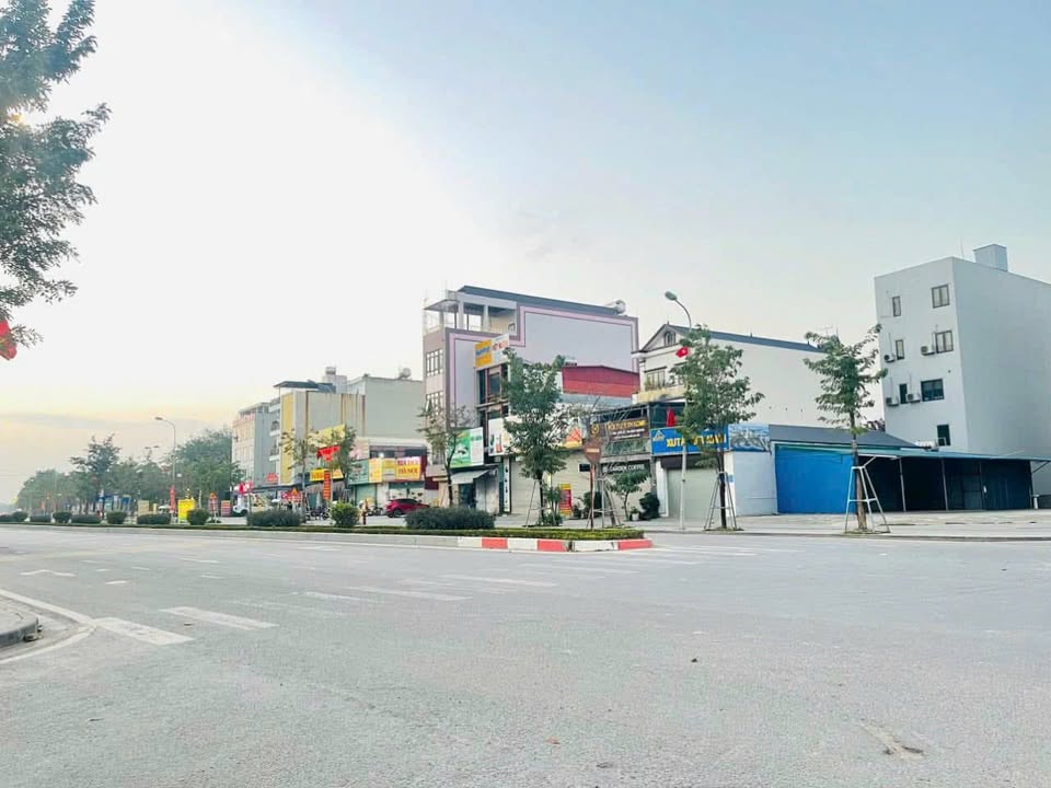 Đất biệt thự Nguyên Khê Đông Anh 250m² sổ đỏ - Vị trí đắc địa, giao thông thuận lợi!