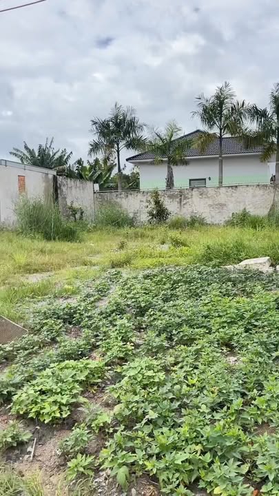 Đất nền Hòa Lợi Bến Cát 293m² giá 4 tỷ - Mặt tiền DT741 kinh doanh sầm uất!