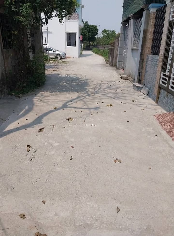 Đất chính chủ Tân Thanh 100m² giá chỉ 1.6 tỷ - Sổ đỏ đầy đủ