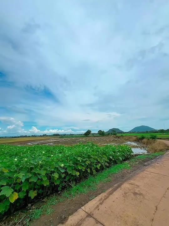 Đất nền Xuân Lộc Đồng Nai 1000m² giá 400 triệu - Cơ hội đầu tư hấp dẫn!