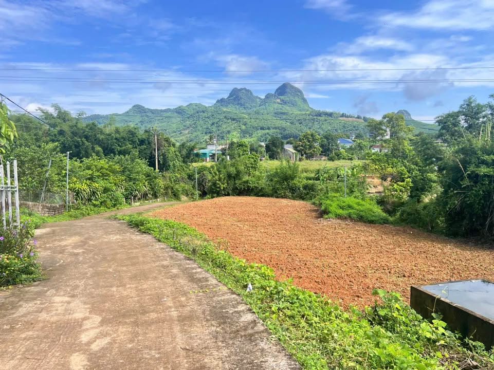 Đất nền nghỉ dưỡng 4300m² tại Bắc Phong, Cao Phong, Hòa Bình - Giá chỉ 2 tỷ!