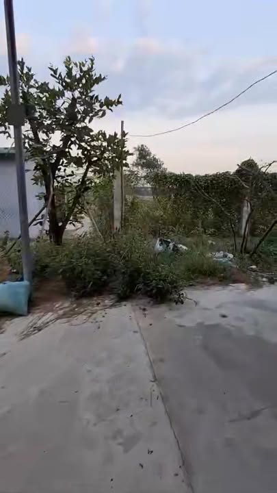 Nhà cho thuê Tân Hiệp, Tân Uyên - Giá chỉ 3 triệu/tháng, sân rộng cho xe tải!