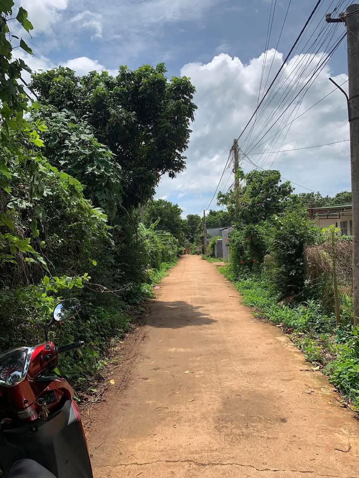 Đất nền Hòa An, Krông Pắc 516m² giá 5.184 tỷ - Pháp lý rõ ràng, sẵn sàng giao dịch!