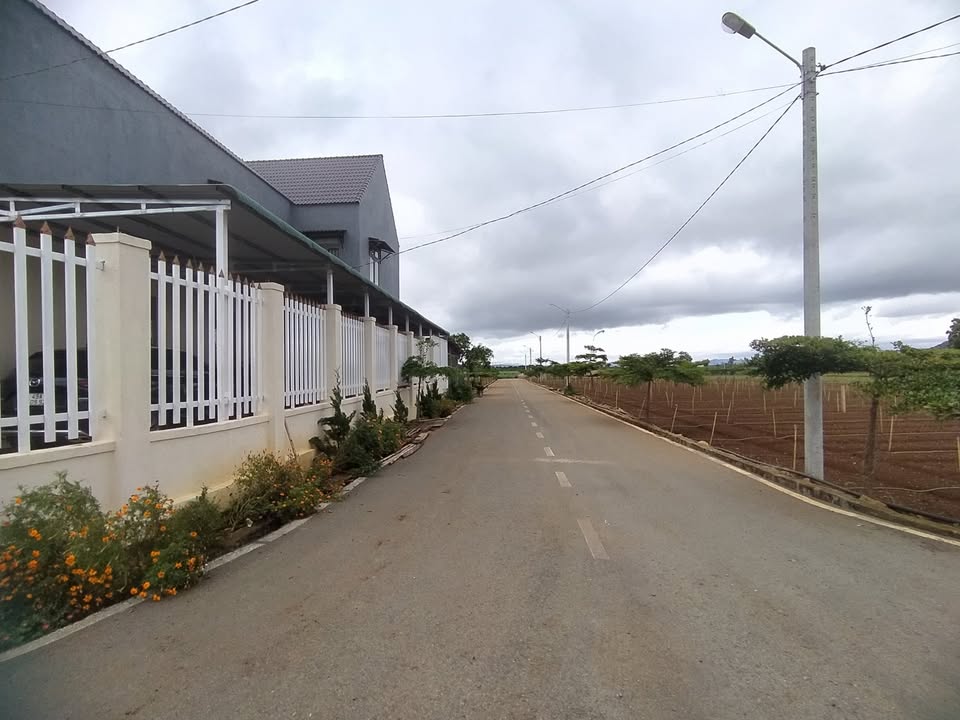 Đất thổ cư mặt tiền đường nhựa Liên Nghĩa 250m² giá 2.5 tỷ - Cơ hội đầu tư hấp dẫn!