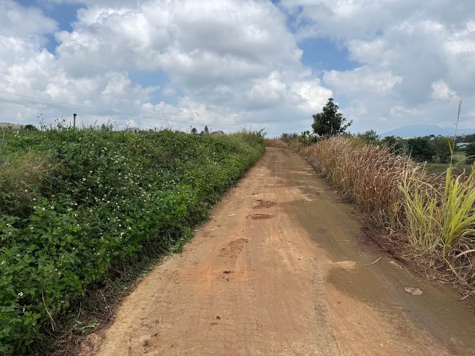 Đất sào TuTra Đơn Dương 1980m² giá 425 triệu - Đầu tư sinh lời ngay!