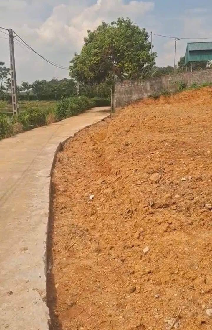 Đất thổ cư Tứ Yên 255m² giá 600 triệu - Cần bán gấp!