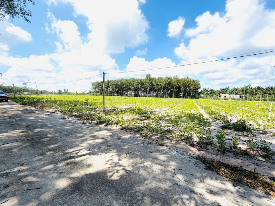 Đất nền phường Minh Hưng 2880m² giá chỉ 800 triệu - Cơ hội đầu tư sinh lời!