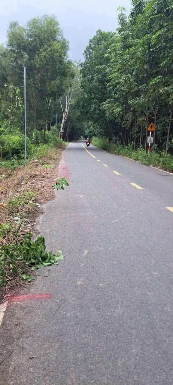 Đất nền Vĩnh Tân 680m² giá 2.7 tỷ - Đầu tư hấp dẫn gần KCN VISIP 2!