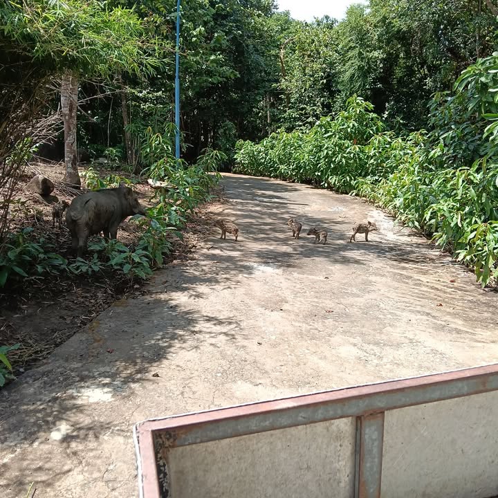 Đất nền Rạch Dừa, Bà Rịa - Vũng Tàu 83.2m² giá 6.5 tỷ - Đầu tư sinh lời