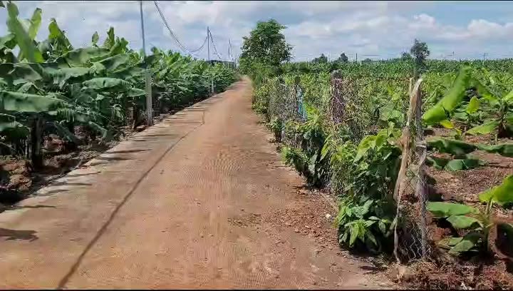 Đất nền 1266m² tại xã Thanh Bình, Trảng Bom giá chỉ 1.2 tỷ - Cơ hội đầu tư không thể bỏ lỡ!