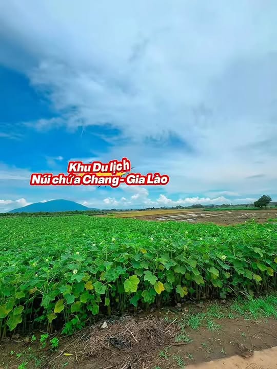 Đất nền Xuân Lộc, Đồng Nai 1000m² giá 400 triệu - Đầu tư sinh lời ngay!