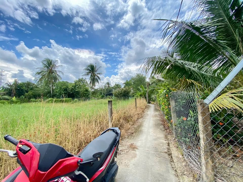 Đất nền Tân An 130m² giá 500 triệu - Sổ hồng riêng, xây dựng tự do!