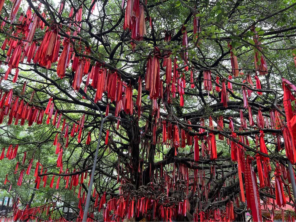 Nhà mặt tiền đường Thống Nhất, Đức Trọng, Lâm Đồng - Giá thuê chỉ 12 triệu/tháng!