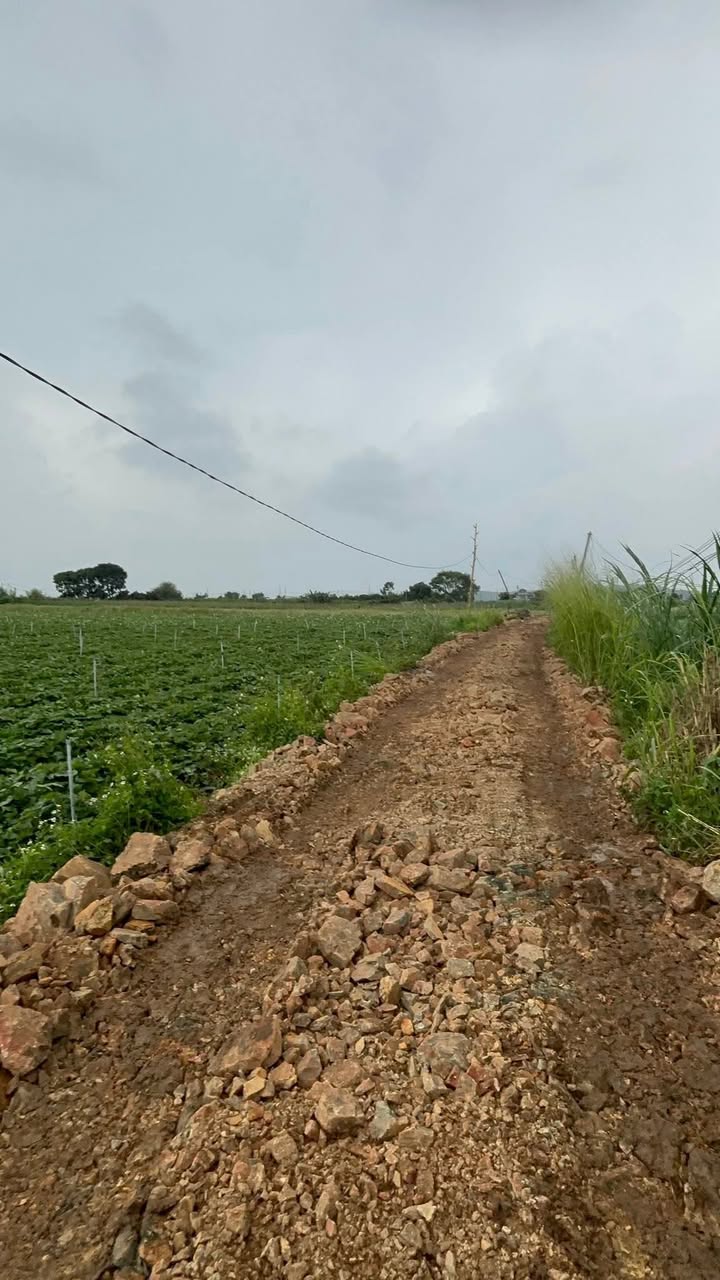 Đất nền xã Phú Hội, huyện Đức Trọng 1100m² giá 850 triệu - Cơ hội đầu tư sinh lời!