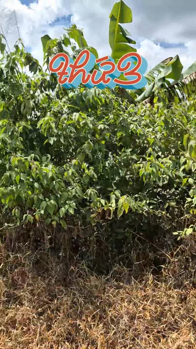 Đất thổ cư Xuân Phú 20.000m² giá thỏa thuận - Mặt tiền 75m, chính chủ