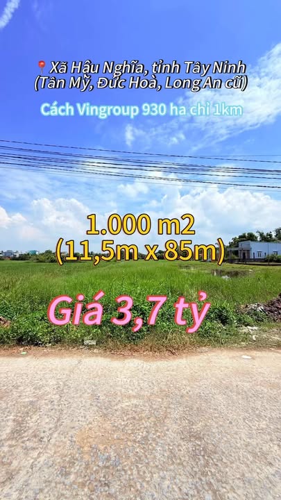 Đất nền Tân Mỹ 1.000m² giá chỉ 3,7 tỷ - Tiềm năng đầu tư sinh lời!