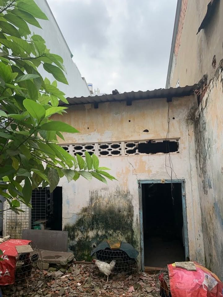 Nhà riêng Tân Bình 100m² giá 10 tỷ - Cơ hội đầu tư hấp dẫn!