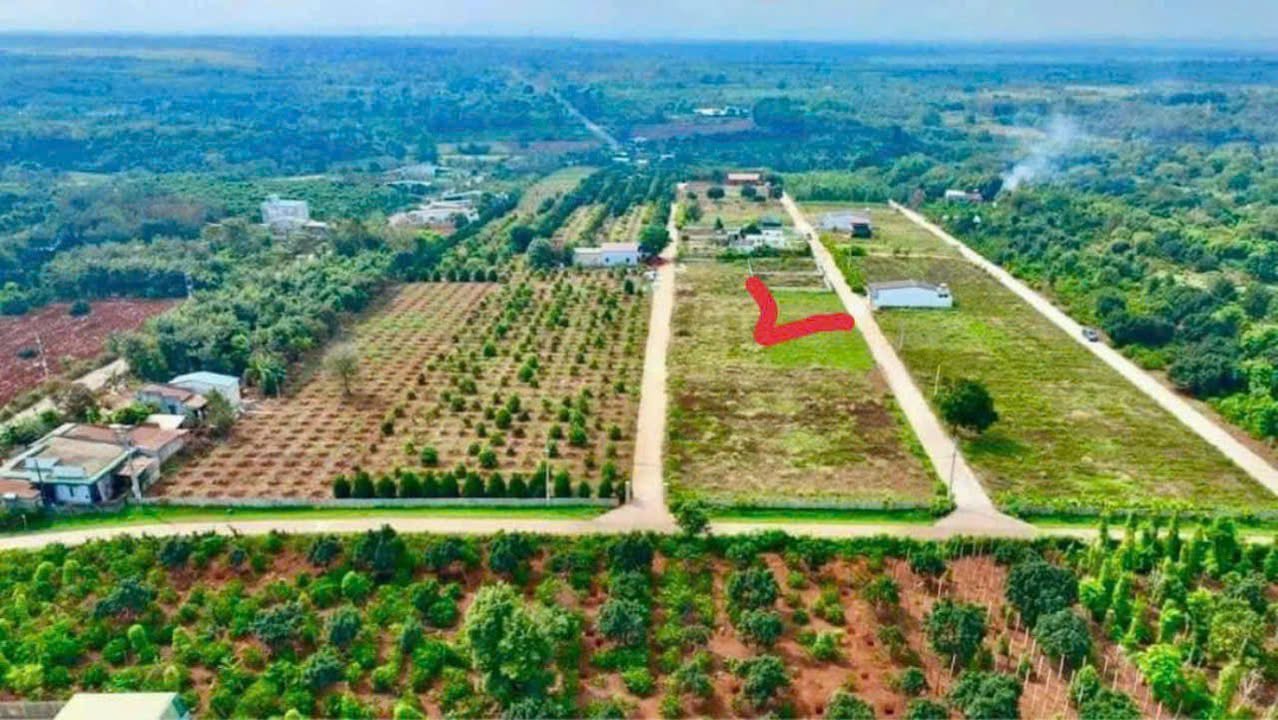 Lô đất thổ cư 414m² giá 1.68 tỷ tại Ea Nuôl, Buôn Đôn - Sổ hồng riêng, công chứng ngay!