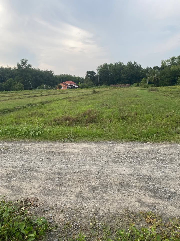 Đất nền Trảng Bàng Tây Ninh 500m² - Giá rẻ, ô tô tới nơi!