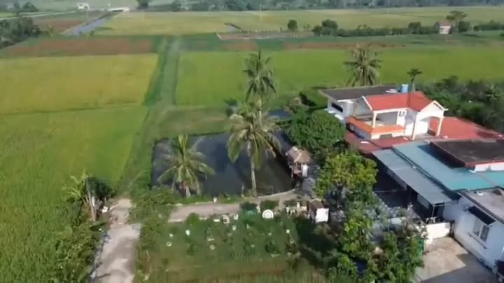 Đất thổ cư Vĩnh Am, Vĩnh Bảo, Hải Phòng 82m² - Vị trí đẹp, giá tốt!