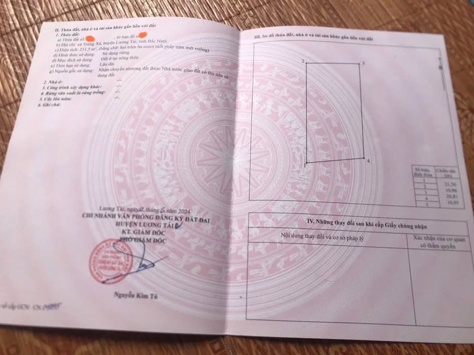 Đất nền Trừng Xá Lương Tài 231m² giá chỉ 4 tỷ - Đầu tư sinh lời ngay!