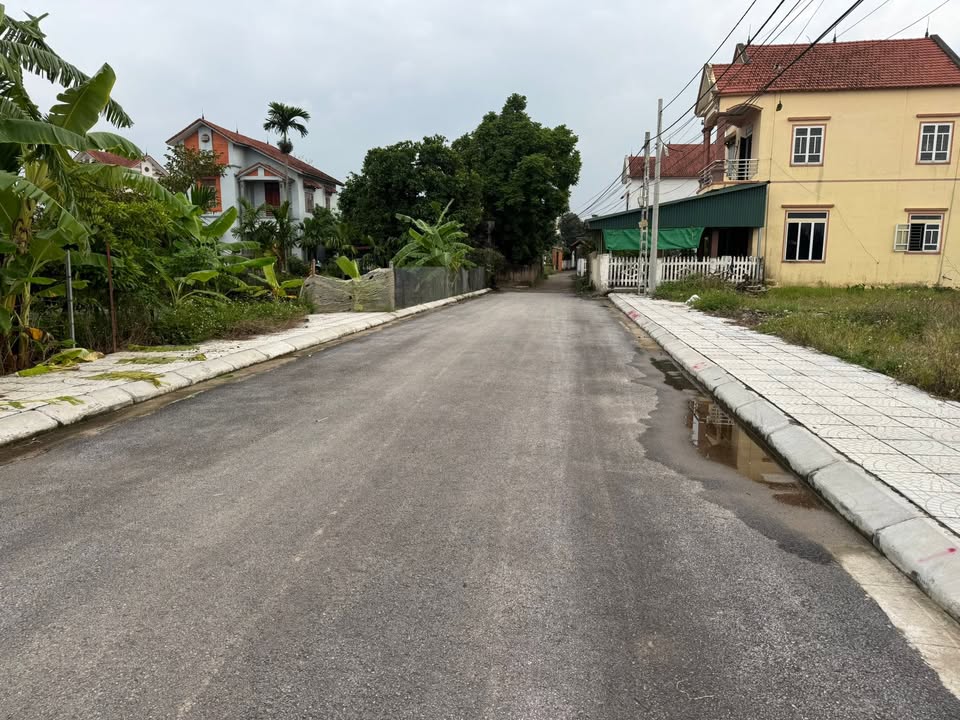 Đất thổ cư 217m² tại Phùng Nguyên, Lâm Thao chỉ 1 tỷ - Cơ hội đầu tư tuyệt vời!