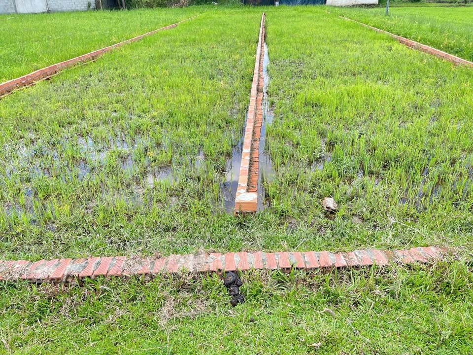 Đất thổ cư 300m² tại Ấp Bàu Sen, Đức Lập Hạ - Giá chỉ 600 triệu