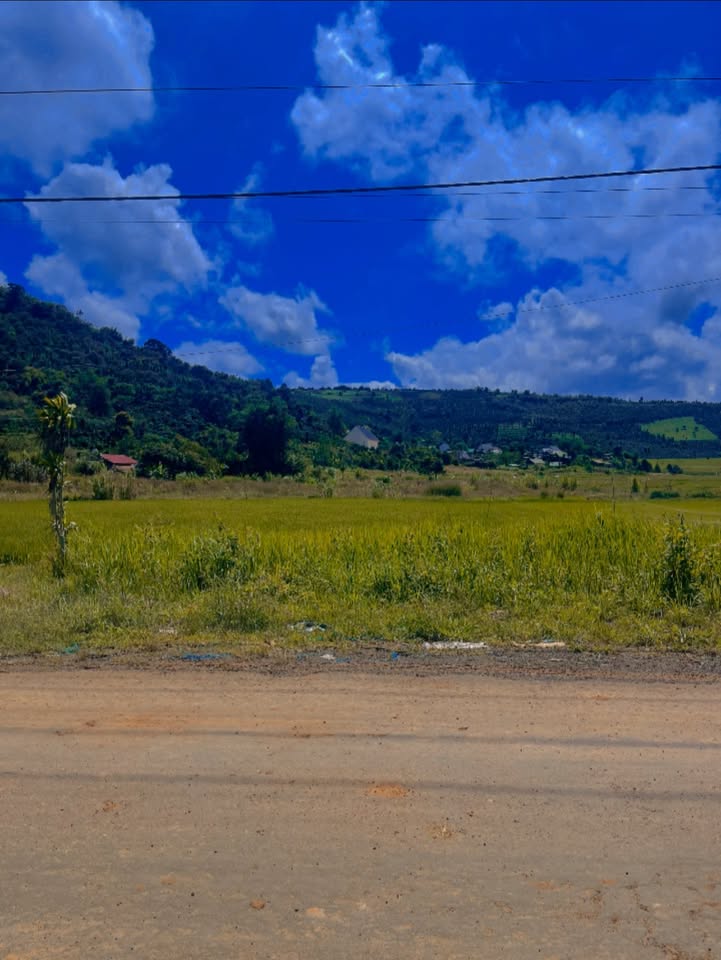 Đất nền 7200m² khu phố 4, Đắk Ha, giá thỏa thuận - Cơ hội đầu tư hấp dẫn!